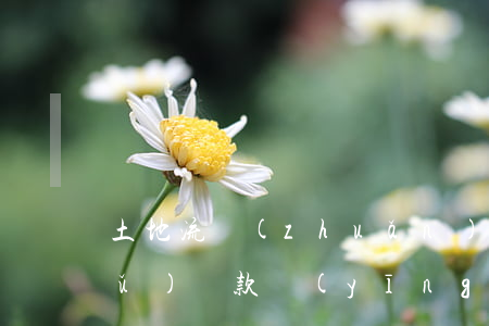 土地流轉(zhuǎn)后遇到征收，補(bǔ)償款應(yīng)該歸誰(shuí)？